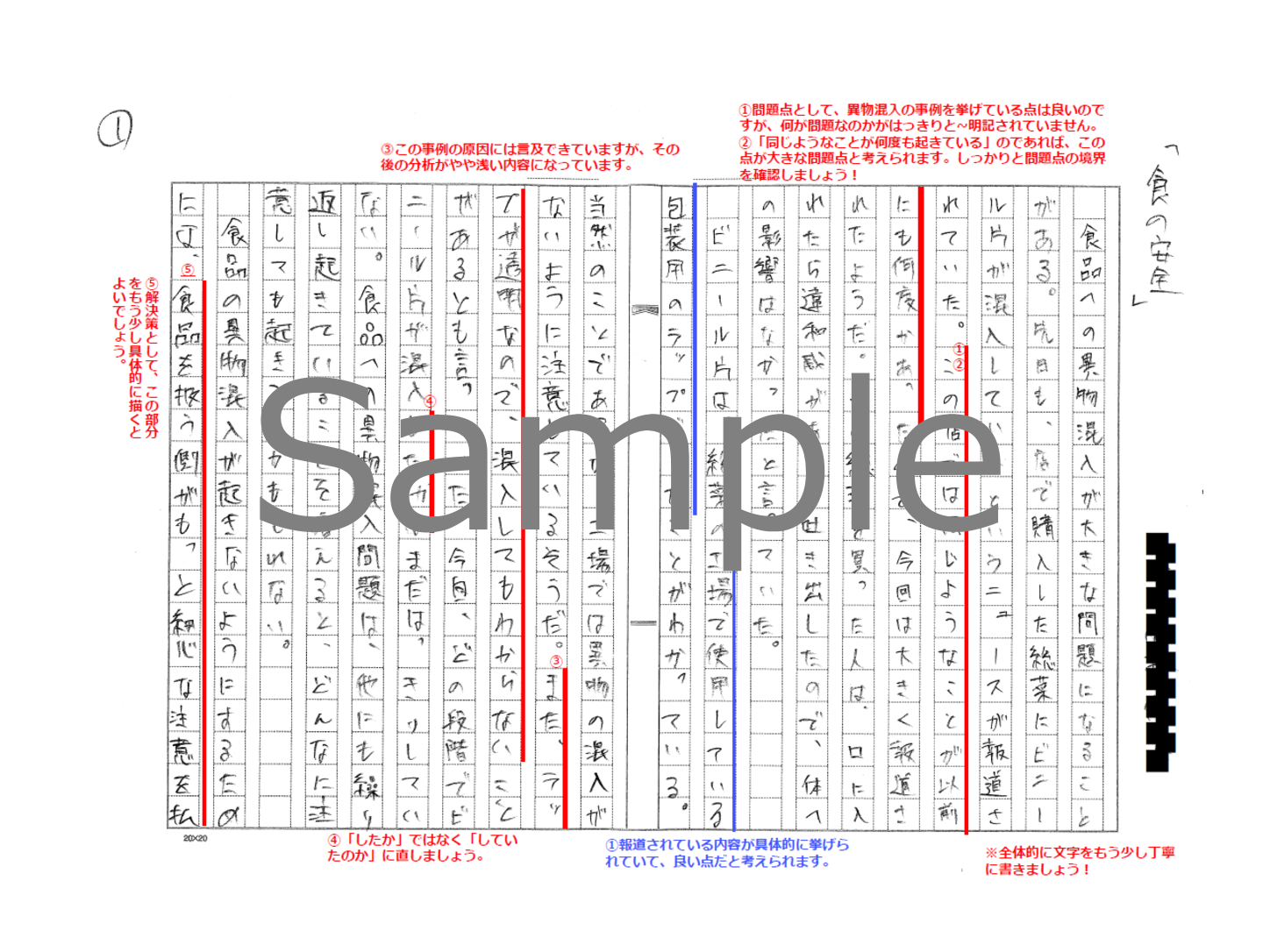 株式会社ガイエ様の入社試験に伴う手書き小論文の添削・採点・評価作成支援イメージ