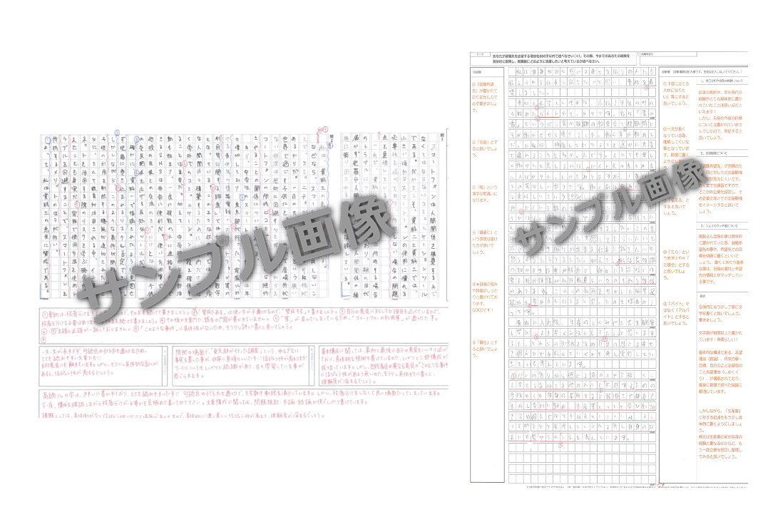 小論文添削
